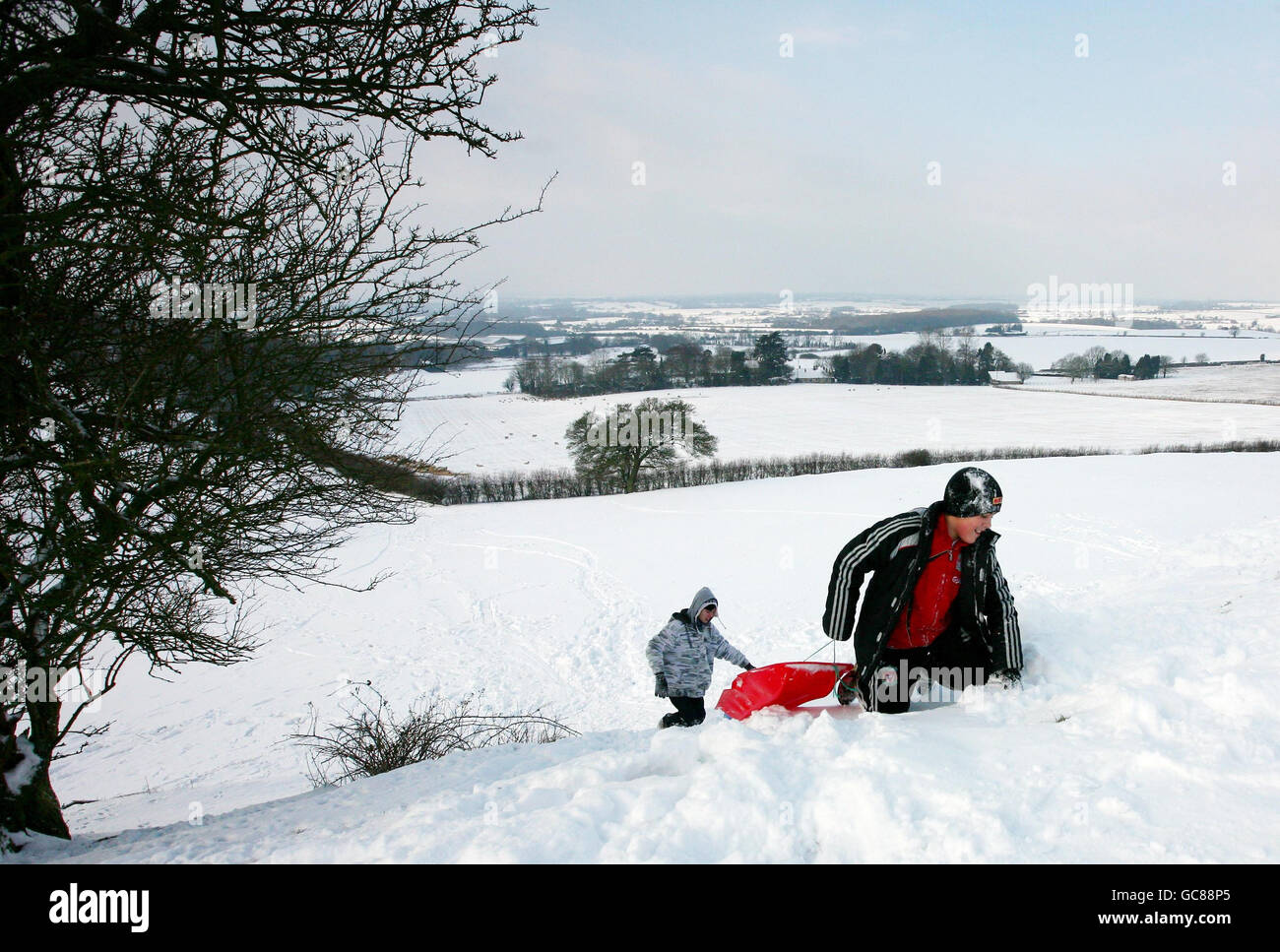 Harley and Deacon May haul their sledge to the top of Farthing Common near Hythe in Kent as the snowy conditions continue. Stock Photo