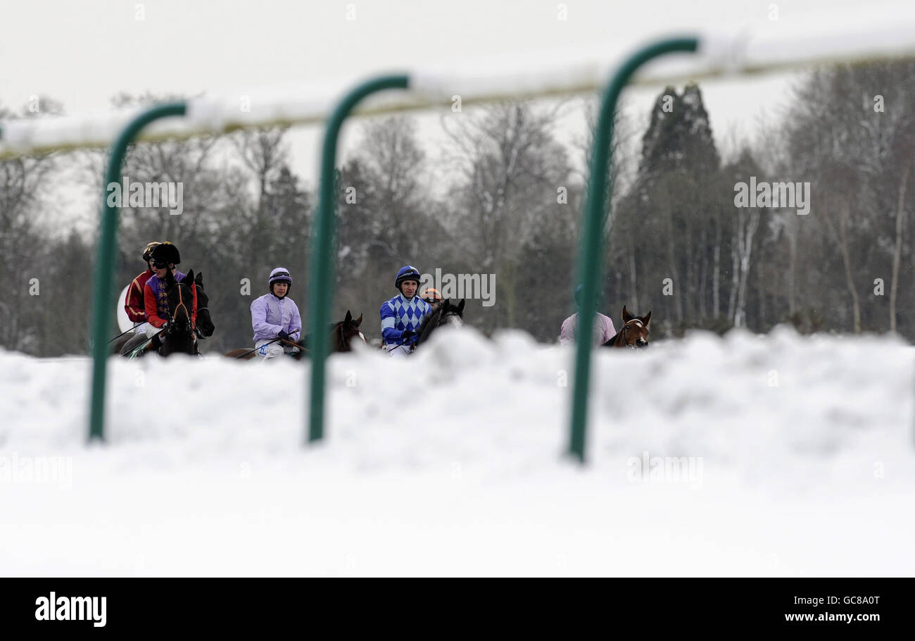Runners make their way towards the stalls at Lingfield Racecourse. Stock Photo