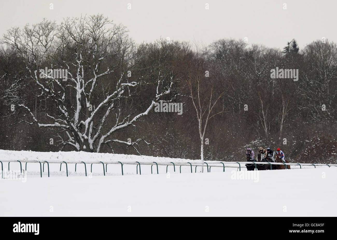 Prince Of Sorento and Jean-Pierre Guillambert (black) sit at the back before going on to win The Bet premier League Football - Betdaq Handicap Stakes at Lingfield Racecourse. Stock Photo