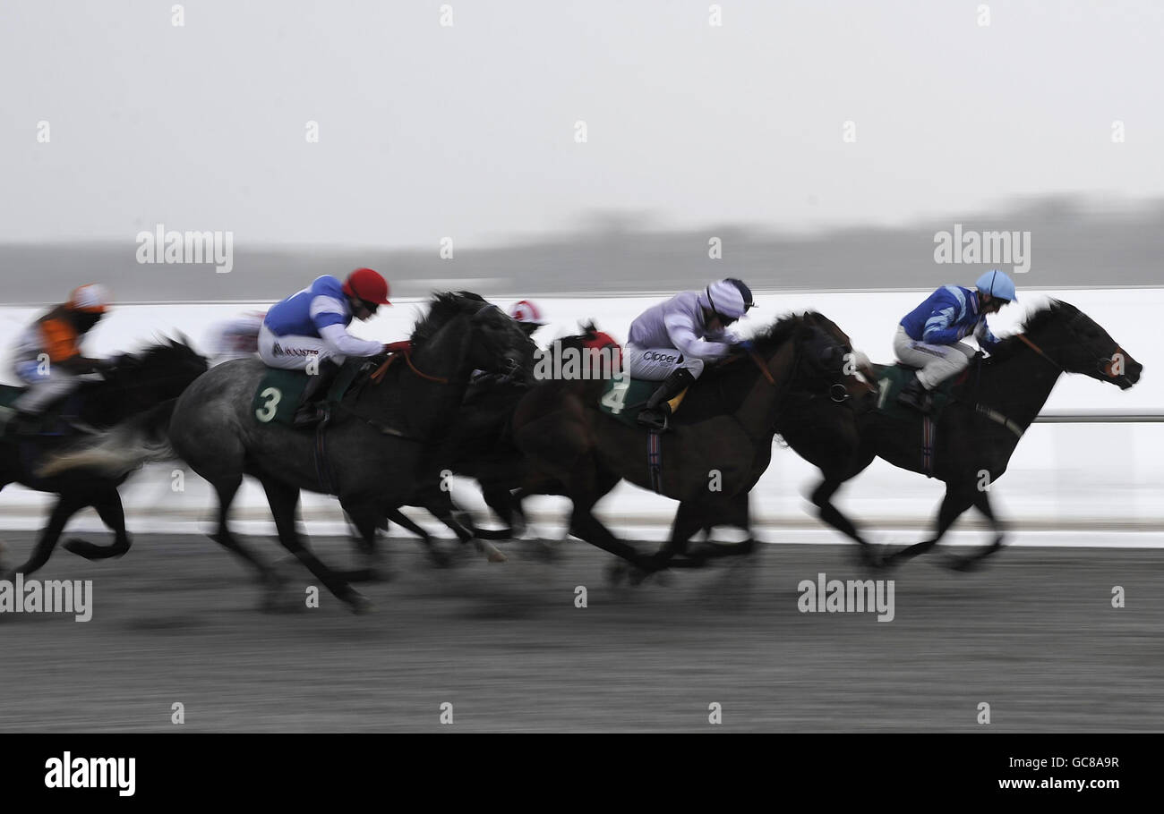 Runners race towards the finish Betdaq On 0800 178 1221 Handicap at Lingfield Racecourse. Stock Photo