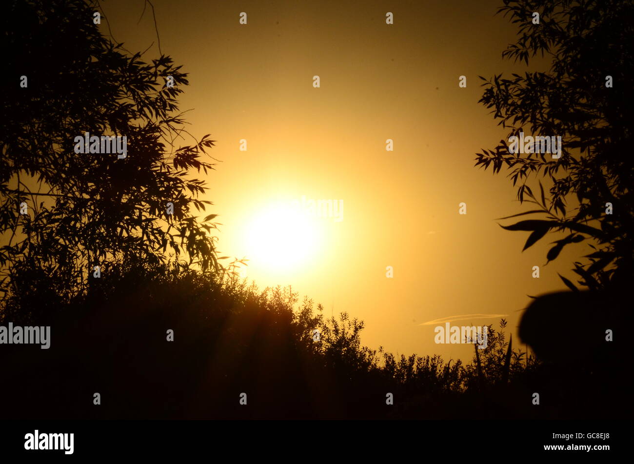 Amazing sunset over the tropical beach Stock Photo - Alamy
