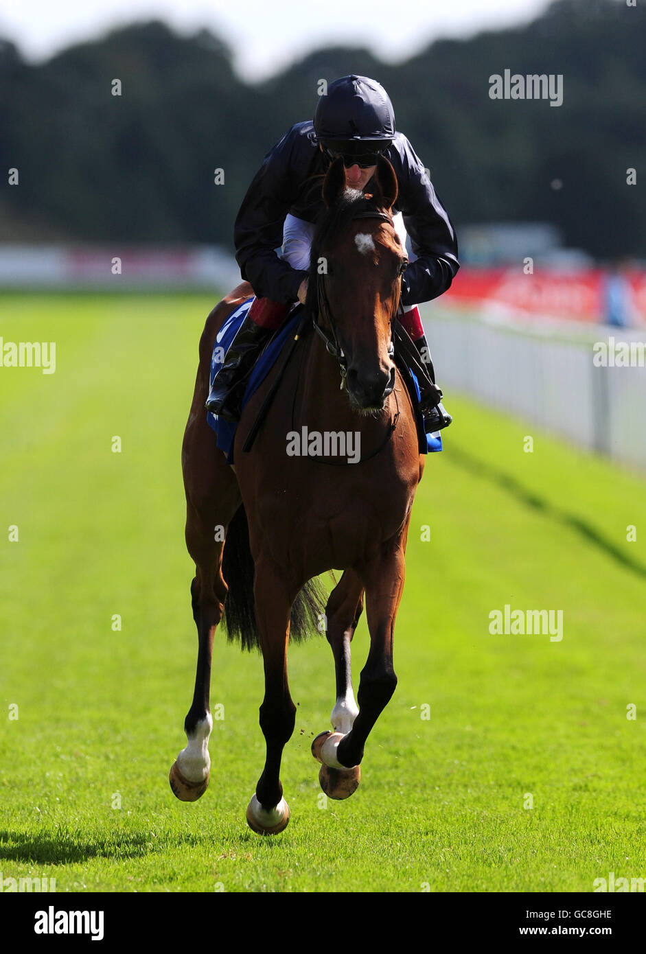 Horse Racing - Ebor Festival - Darley Yorkshire Oaks and Ladies Day - York Racecourse. Tamarind ridden by Johnny Murtagh going to post for the Darley Yorkshire Oaks (Fillies' Group 1) at York racecourse Stock Photo