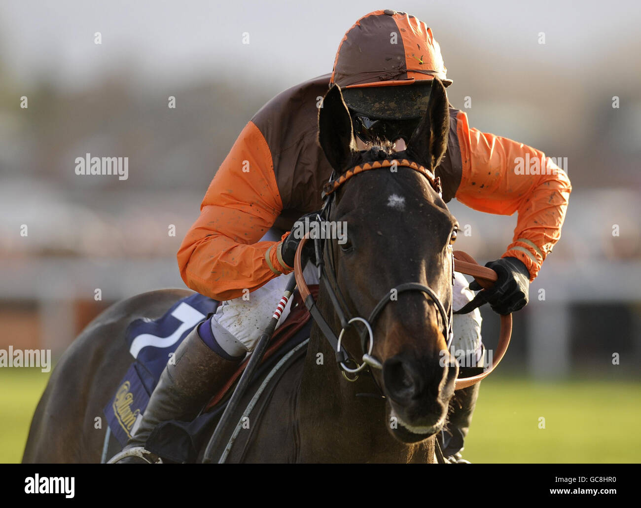 Long Run ridden by Sam Waley-Cohen go on to win The williamhill.com Feltham Novices Steeple Chase during the William Hill Winter Festival at Kempton Park Racecourse, Middlesex. Stock Photo