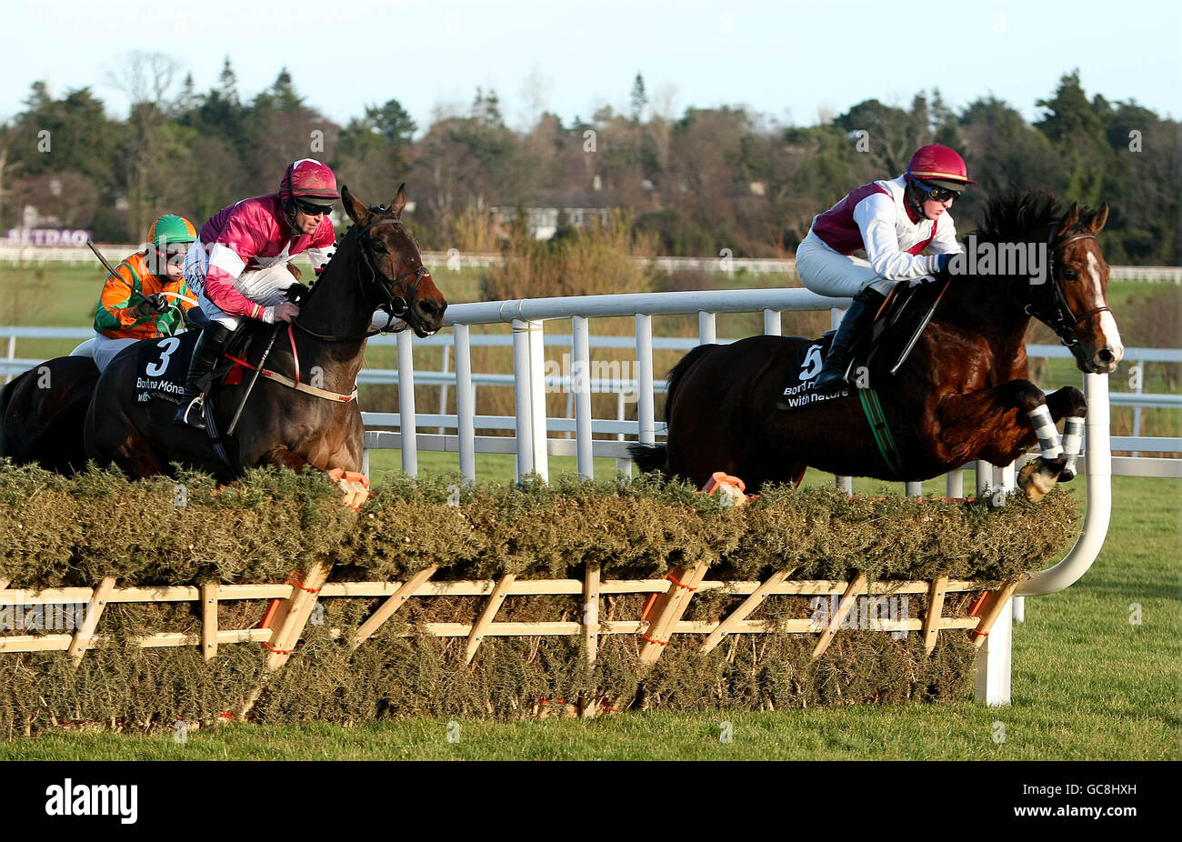 Kings Bastion (right) ridden by T.Carroll jumping clear to win in the Bord Na Mona - Clean Air Maiden Hurdle during the Christmas Festival at Leopardstown Racecourse, Dublin, Ireland. Stock Photo