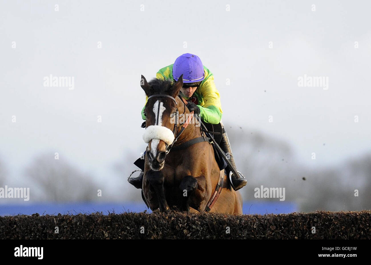 Kauto Star ridden by Ruby Walsh clear the last to win The William Hill King George VI Steeple Chase during the William Hill Winter Festival at Kempton Park Racecourse, Middlesex. Stock Photo