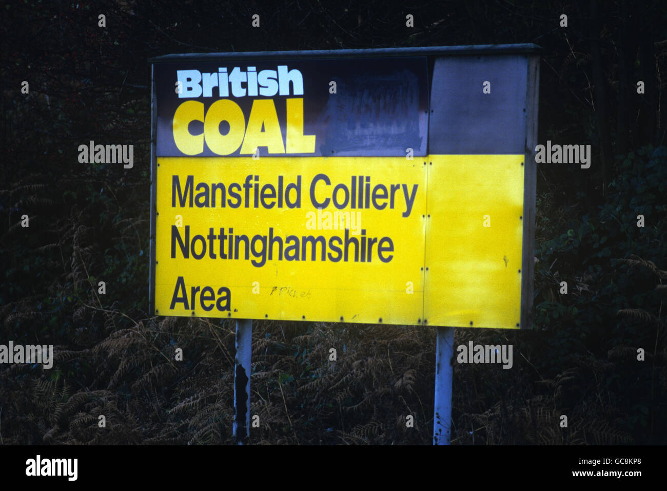 Mansfield Colliery, Nottinghamshire, closed in 1988. Stock Photo
