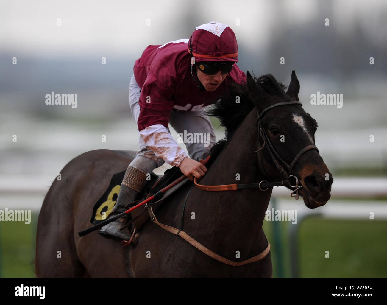 Horse racing ampics action hi-res stock photography and images - Alamy