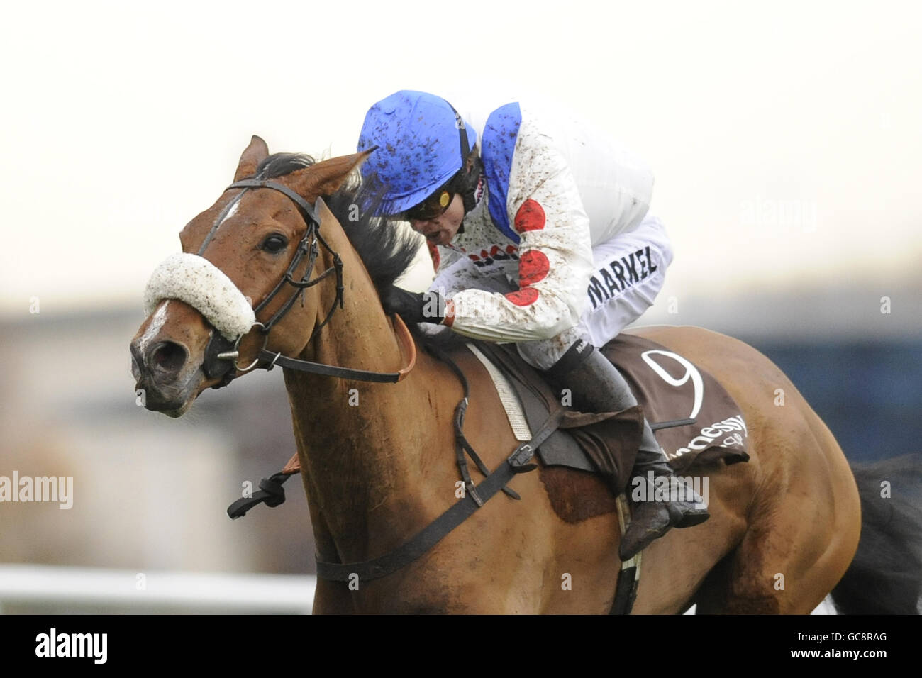 Hennessy gold cup hires stock photography and images Alamy