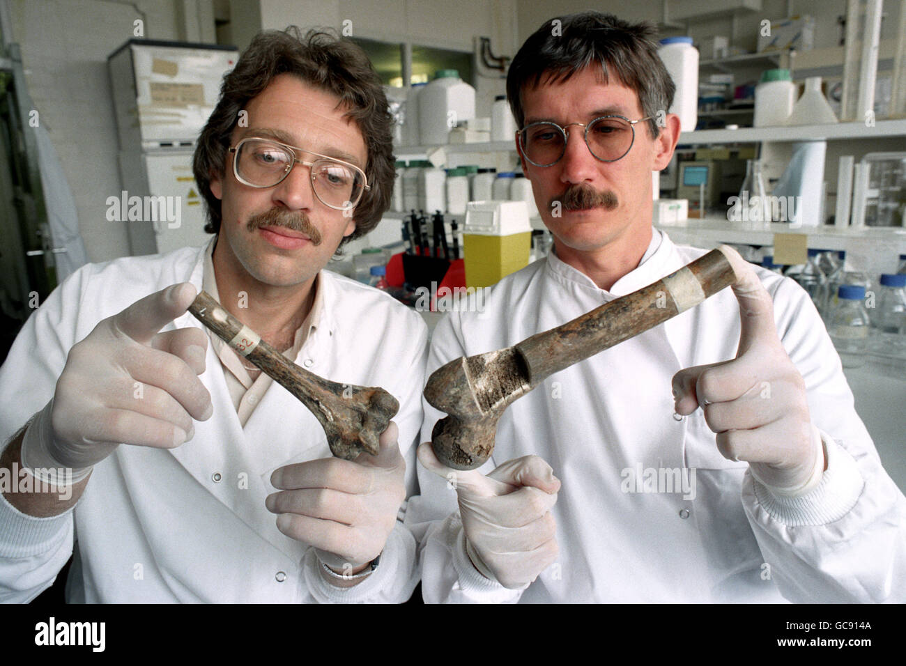 DR PAUL IVANOV [LEFT] AND DR PETER GILL HOLD UP A FEMUR [LEFT] AND A HUMERUS FROM WHAT IS BELIEVED TO BE THE BODY OF CZARINA ALEXANDRA ROMANOV AT ALDERMASTON. SCIENTISTS ARE EXPECTED TO CONFIRM THAT THESE AND OTHER BONES DUG UP IN RUSSIA BELONG TO THE ROMANOV'S. Stock Photo