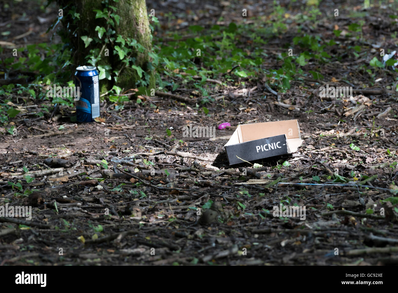 Abandoned picnic site with cardboard container and drinks can Stock Photo