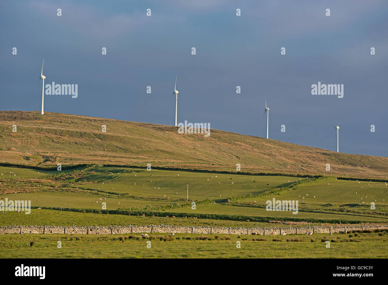 Four of the five wind turbines sited on Burger Hill in 1983 above Evie on the Orkney Isles one of the first in UK.  SCO 10,558 Stock Photo