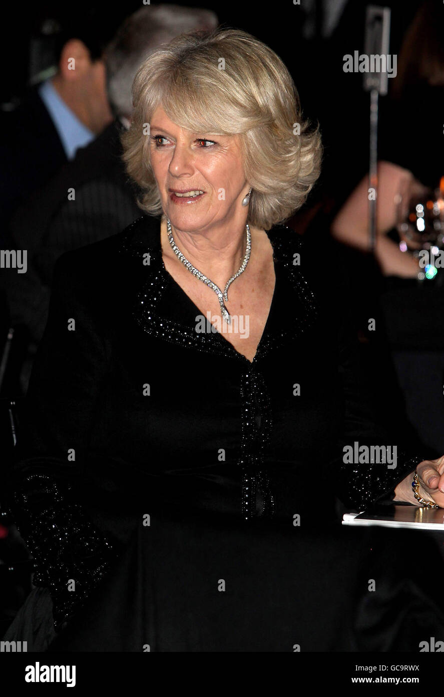 The Duchess Of Cornwall Attends Anna Valentine Charity Show Stock Photo ...