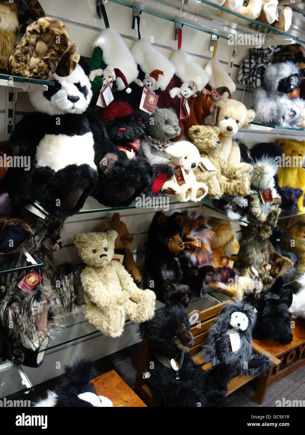Charlie bears hires stock photography and images Alamy
