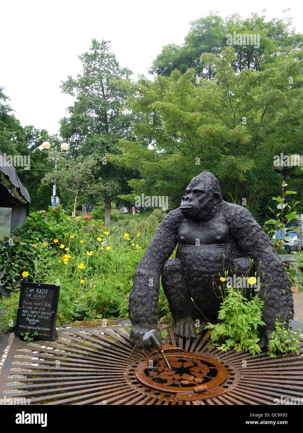 A Gorilla Statue hidden in the bushes Stock Photo Alamy