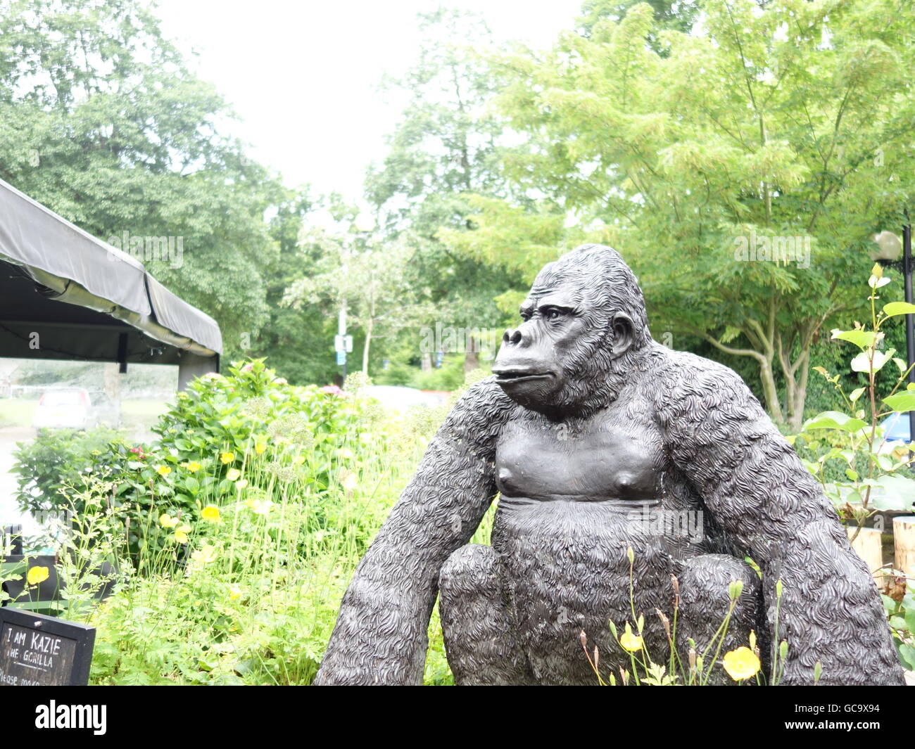 A Gorilla Statue hidden in the bushes Stock Photo - Alamy