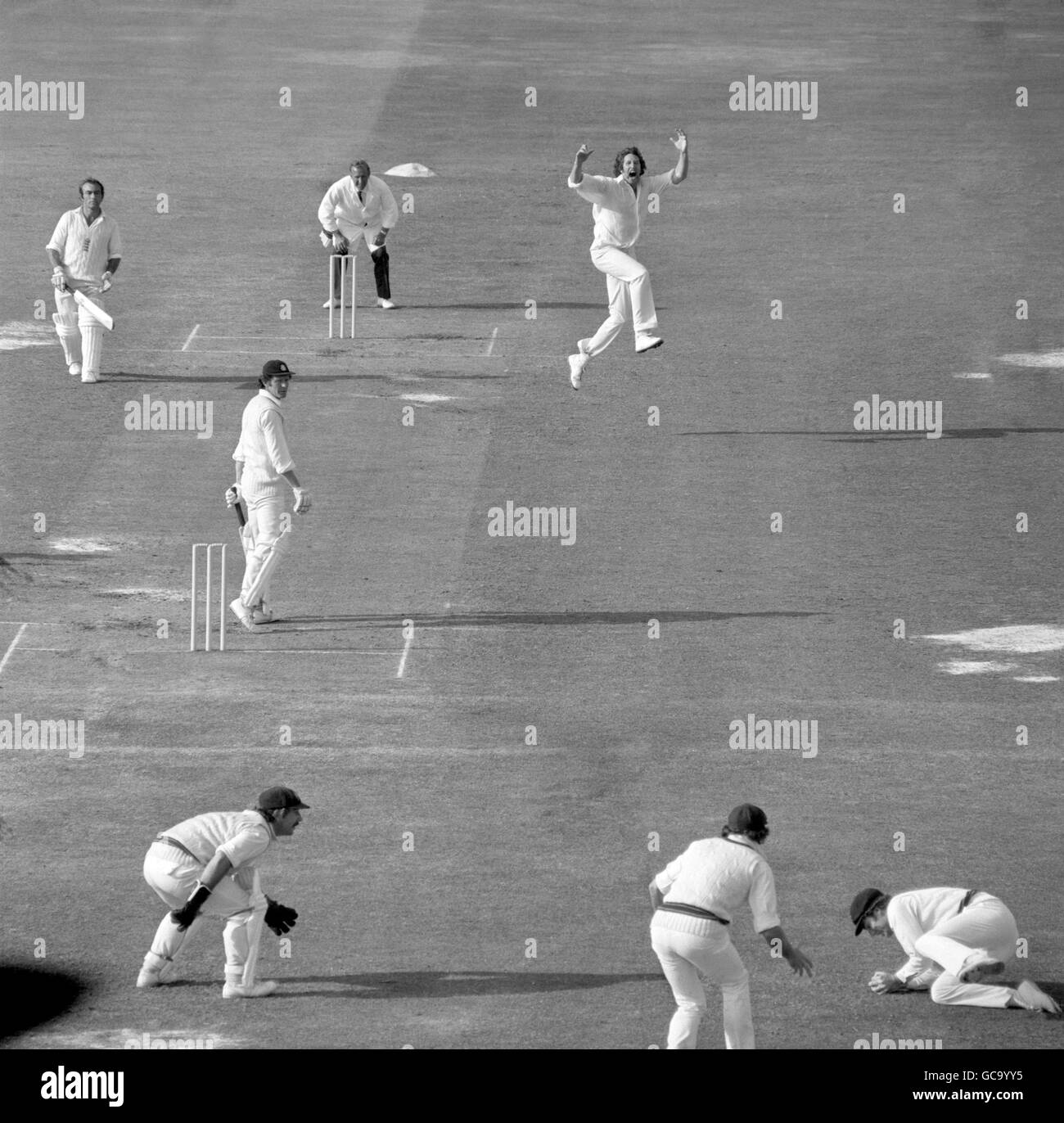 Jubilation from Australian bowler Max Walker (top) as Greg Chappell goes down to take a fine catch to dismiss England's Mike Denness. Stock Photo