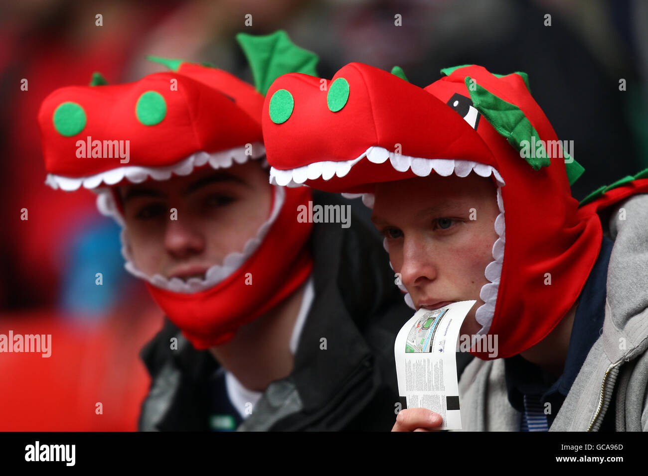 Welsh fans in the stands hi-res stock photography and images - Alamy