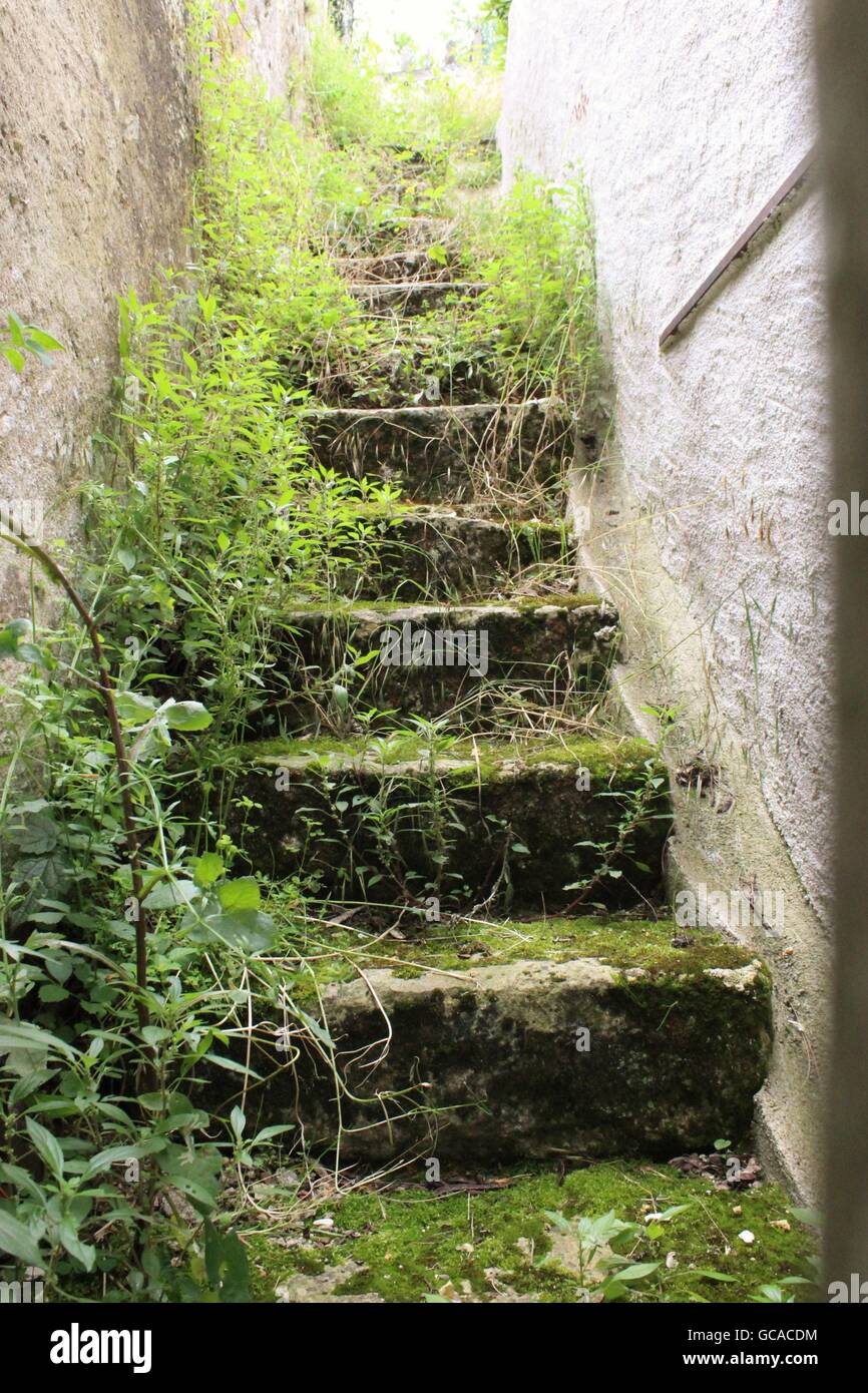 Stairway with moss hi-res stock photography and images - Alamy