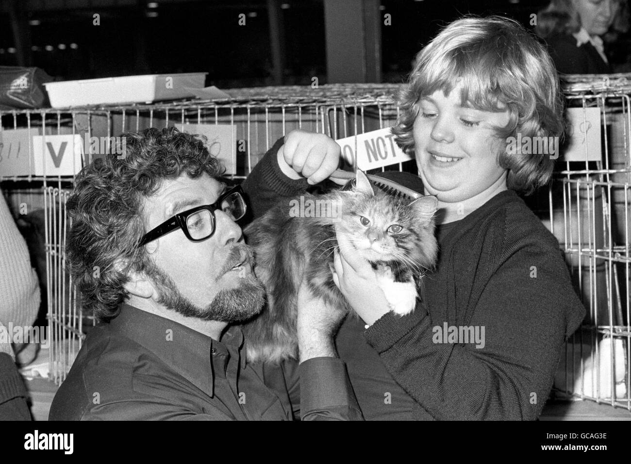 At Olympia today for the National Cat Club Show, Australian entertainer Rolf Harris and his 11 year old daughter Bindi, groom their long-haired tortoise-shell cat 'Fluffybritches' who is entered in the Household Pets Section. Stock Photo