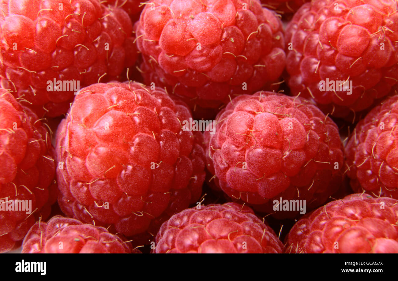 Closeup bunch red delicious hi-res stock photography and images - Alamy