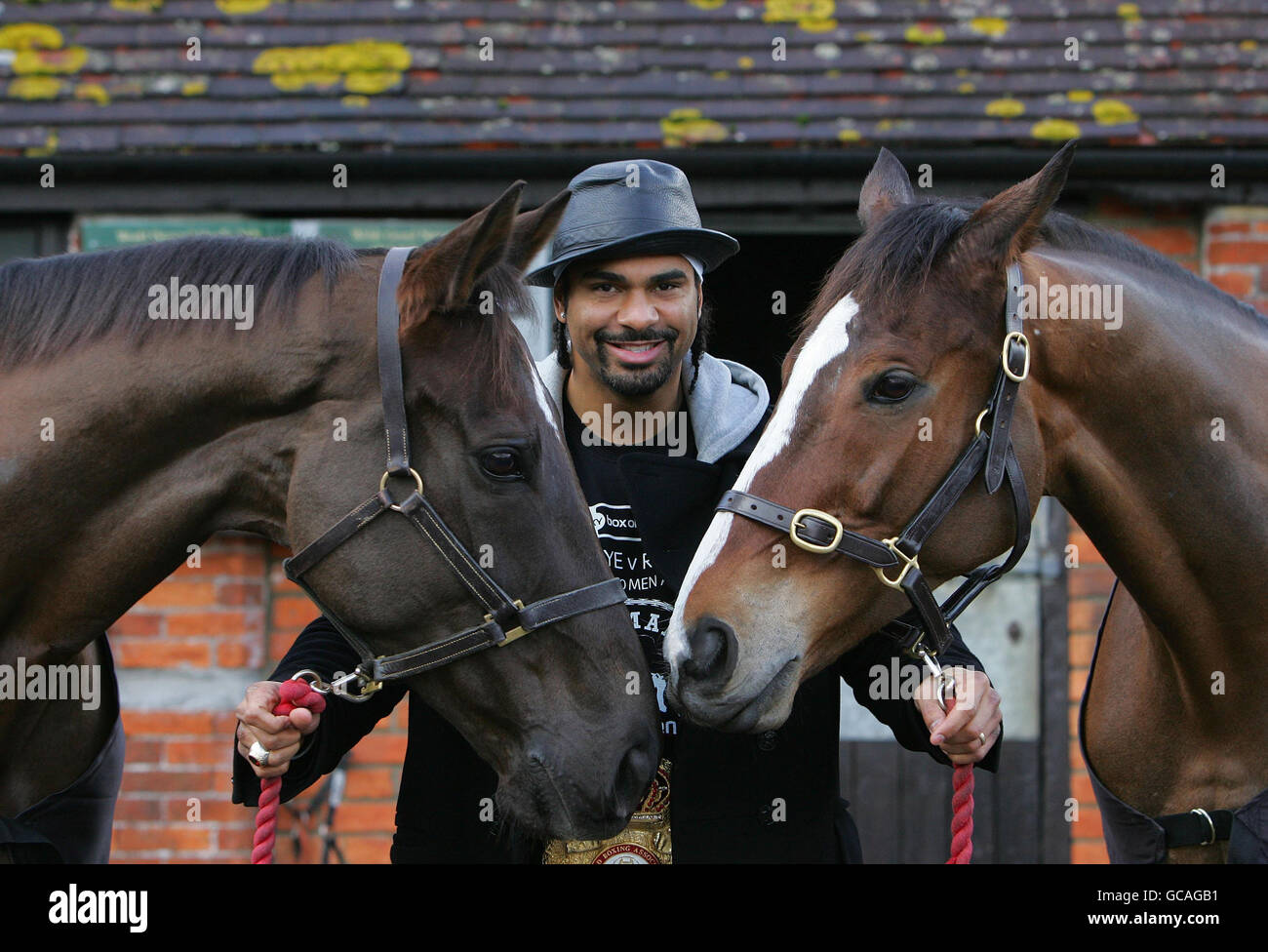 World Champion Heavyweight Boxer David Haye visits the home of Champion Jumps Trainer, Paul Nicholls at Manor Farm Stables in Shepton Mallet in Somerset to meet Denman (left) and Kauto Star (right), the country's two greatest racehorses, to mark four weeks until the two contend for The Cheltenham Gold Cup. Stock Photo