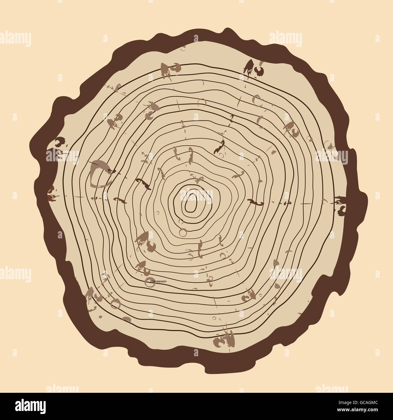 Tree rings and saw cut tree trunk. vintage style Stock Vector Image ...