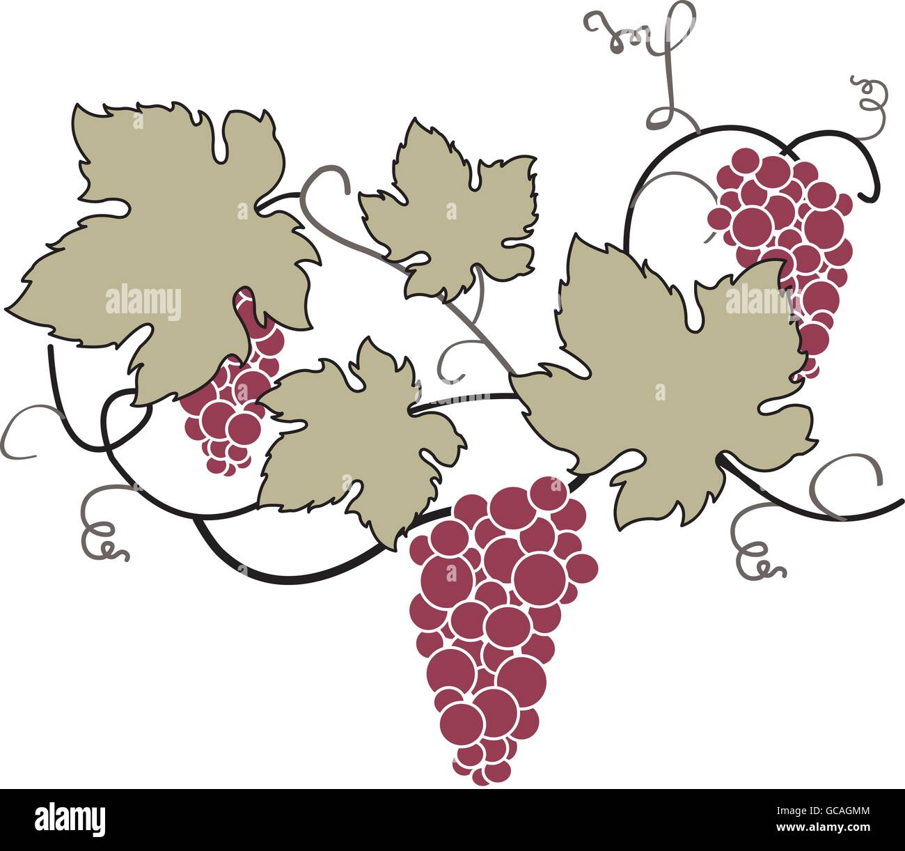 Decorative Grape Vine Stock Vector Image & Art Alamy