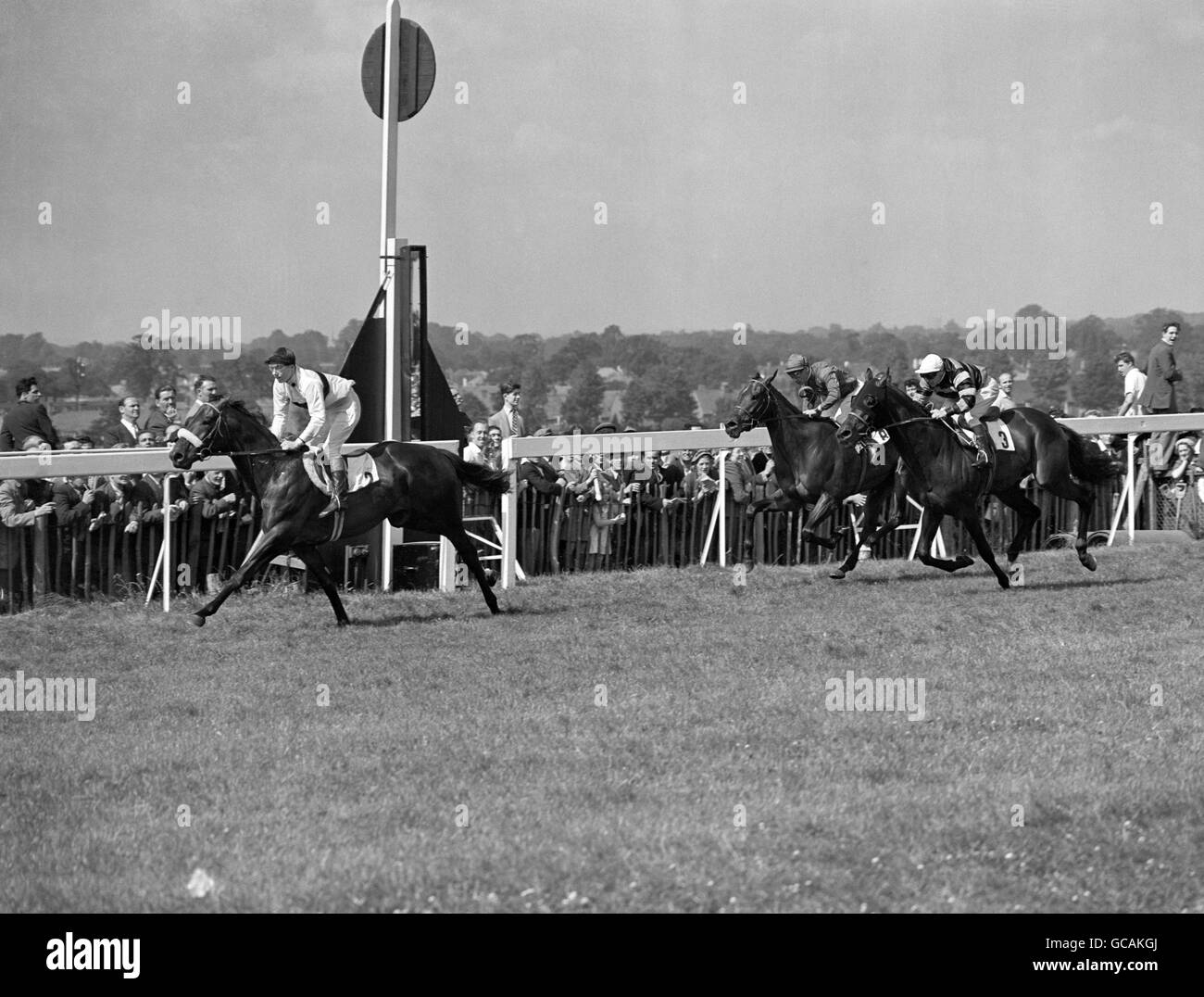 Horse Racing - The Eclipse Stakes - Sandown Park - Esher - 1955 Stock Photo