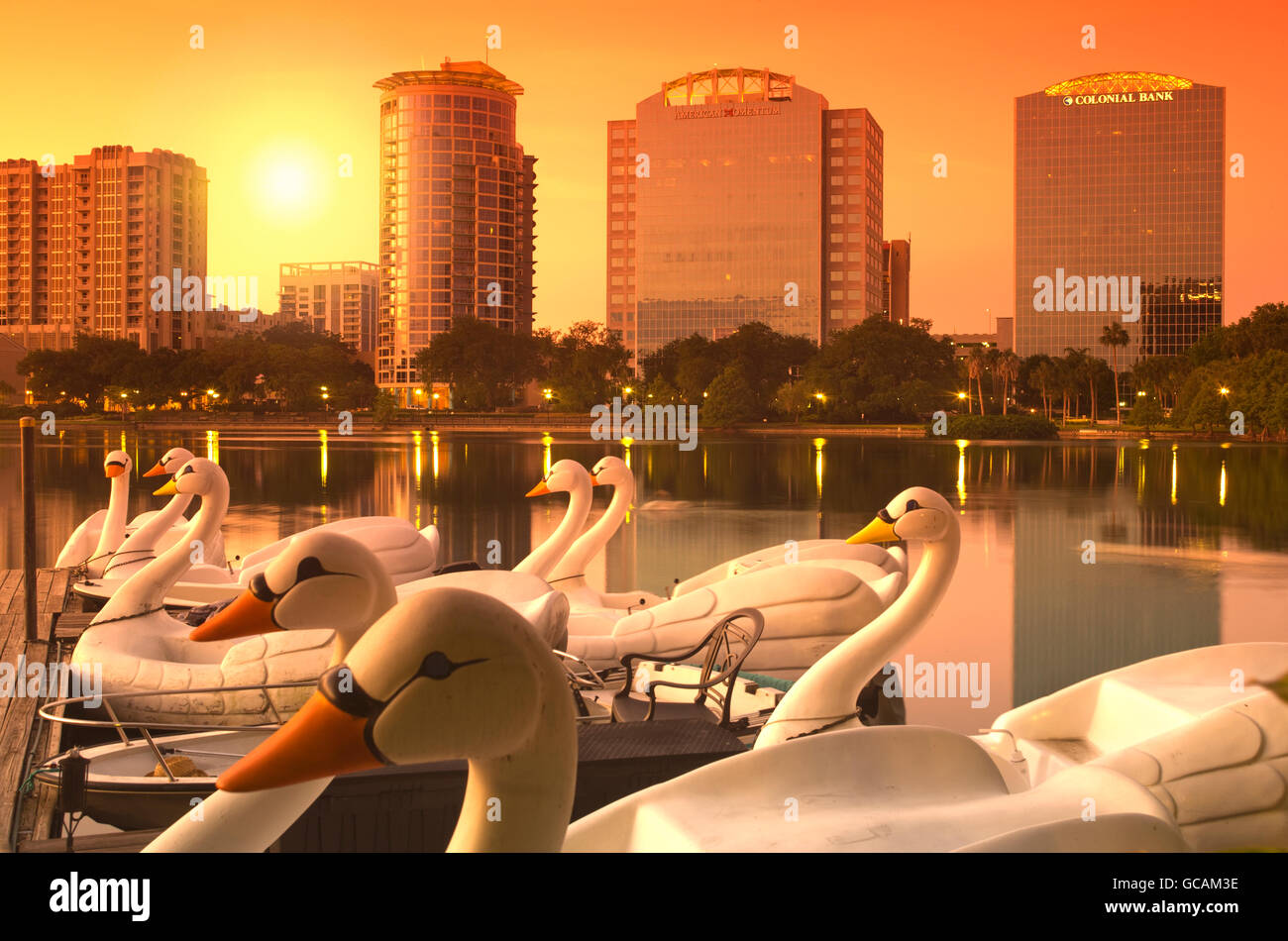 SWAN PADDLE BOATS DOWNTOWN SKYLINE LAKE EOLA PARK ORLANDO FLORIDA USA