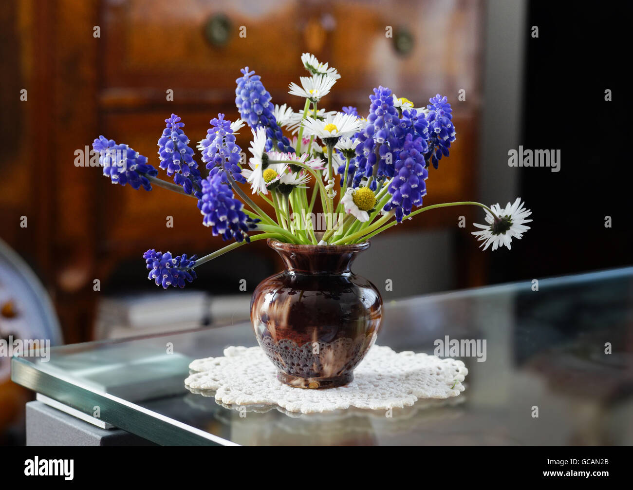 Small brown vase with daisies and blue grape hyacinths Stock Photo