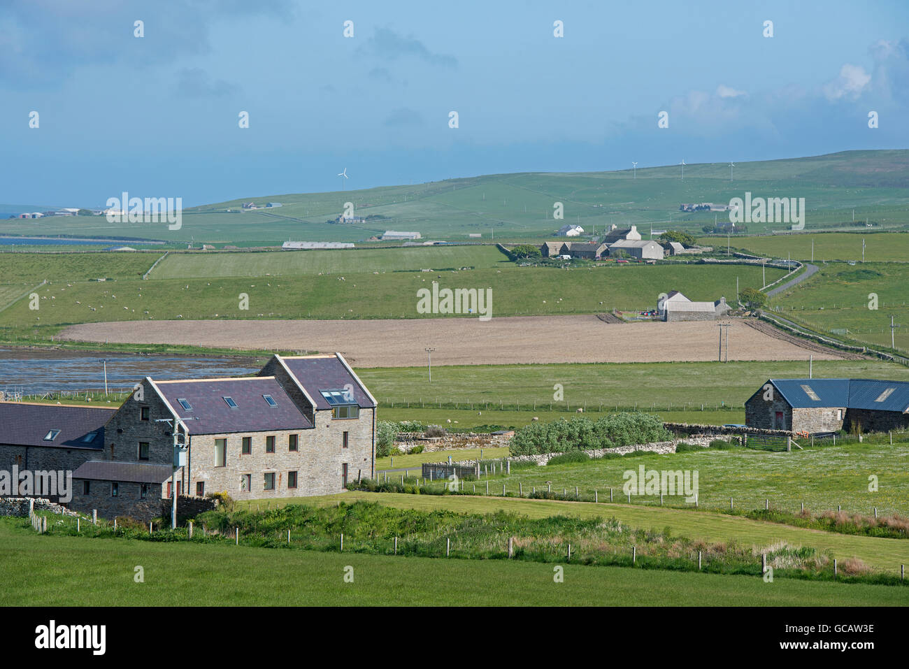 The open treeless agricultural landscape of the Orkney Isles. Stock Photo