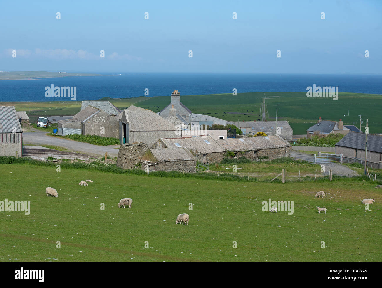 The open treeless agricultural landscape of the Orkney Isles. Stock Photo