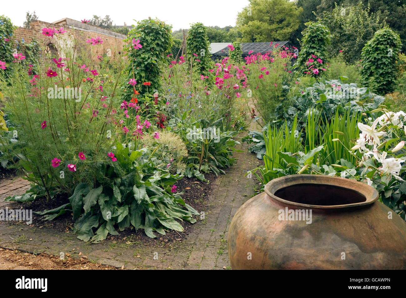 Untamed annuals and perennials grown in the grounds of this Richmond country estate Stock Photo