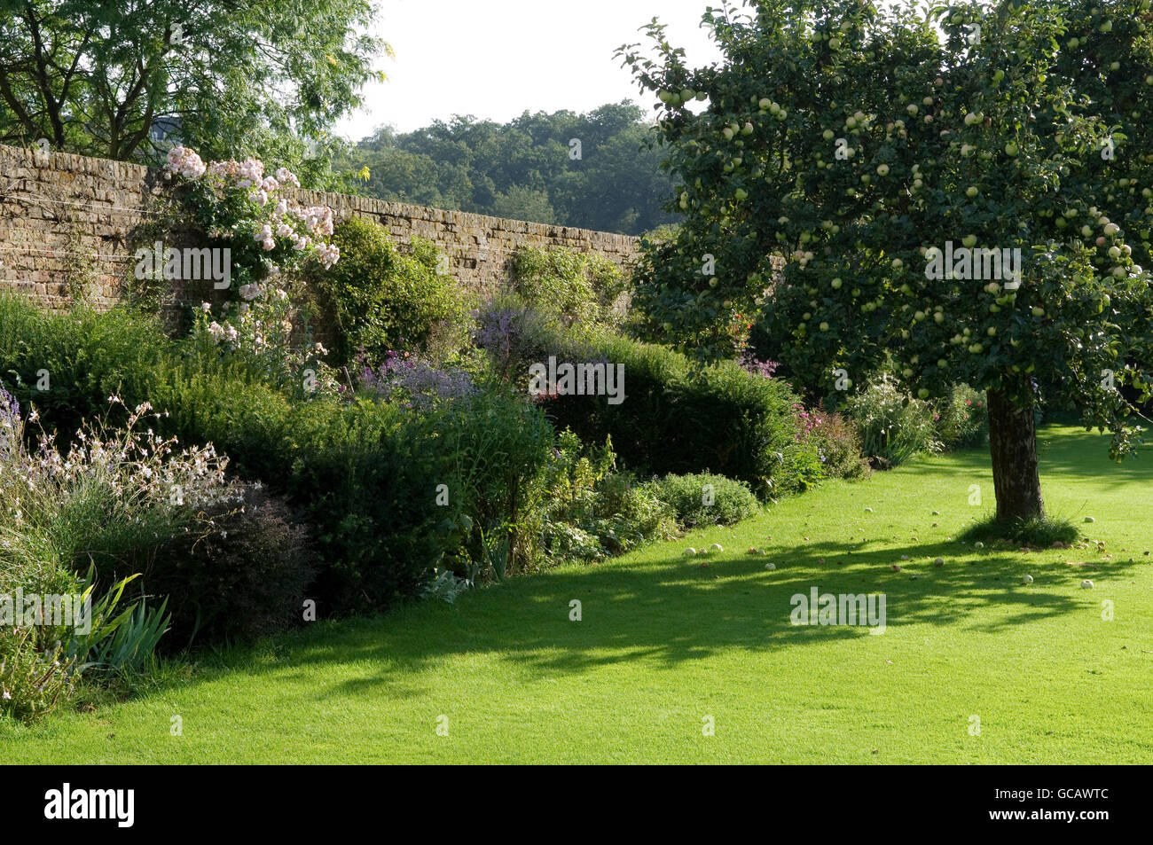 Untamed annuals and perennials grown in the grounds of this Richmond country estate Stock Photo