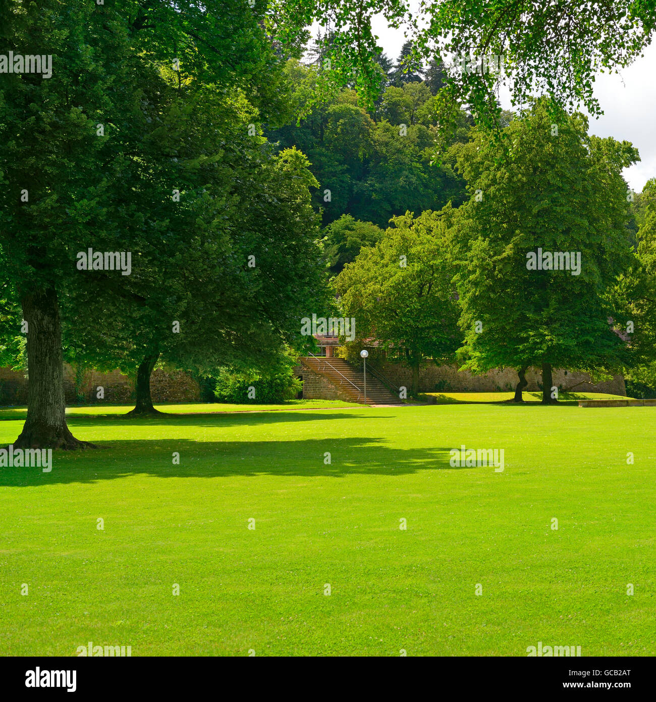 Beautiful meadow in the park Stock Photo Alamy