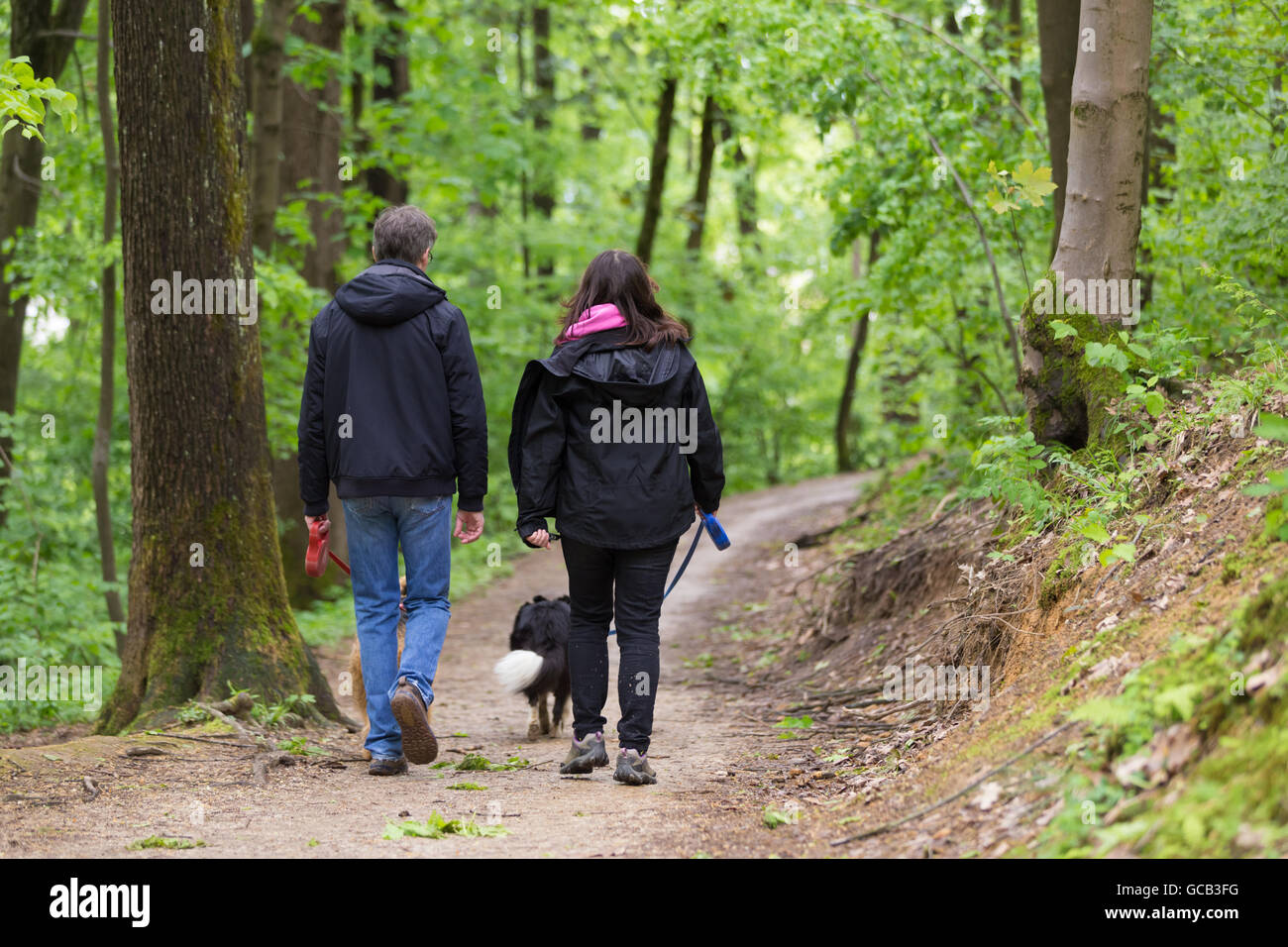 Couple walking their two dogs in forest Stock Photo - Alamy