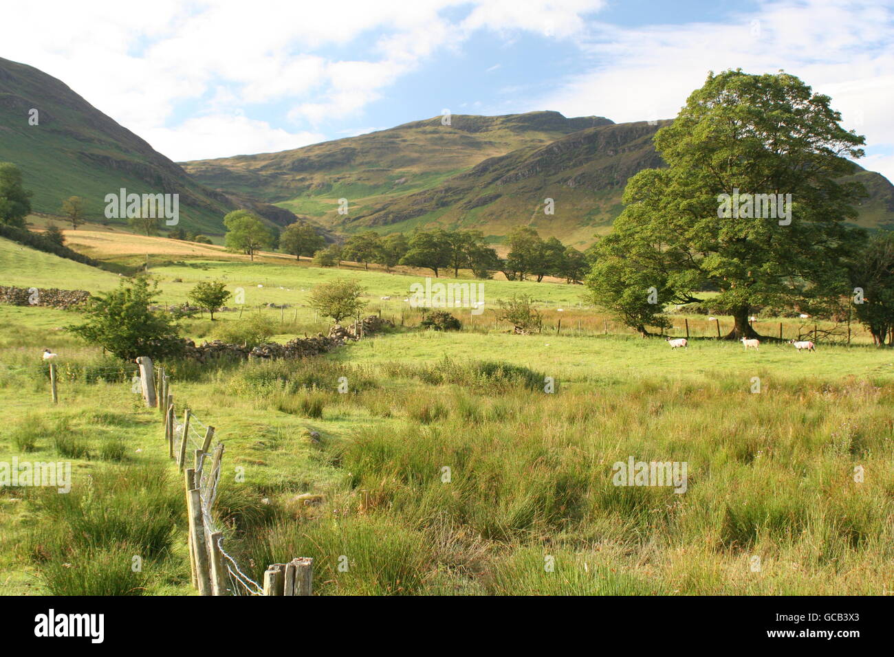 The Newlands Valley Stock Photo