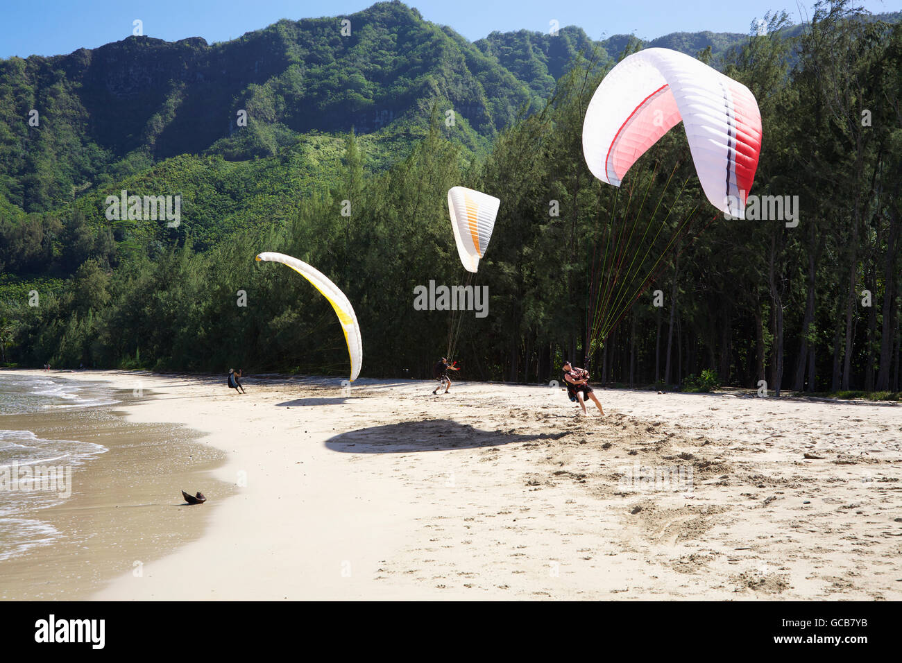 Paragliders at Kahana Bay Beach Park; Oahu, Hawaii, United States of America Stock Photo Alamy