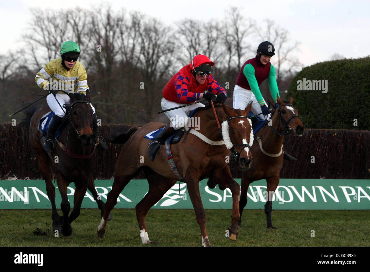 Mr Big (Left) ridden by Capt Harry Wallace wins The Royal Atillery Gold Cup Steeple Chase during the Help For Heroes Royal Artillery Gold Cup Day at Sandown Racecourse, Surrey. Stock Photo