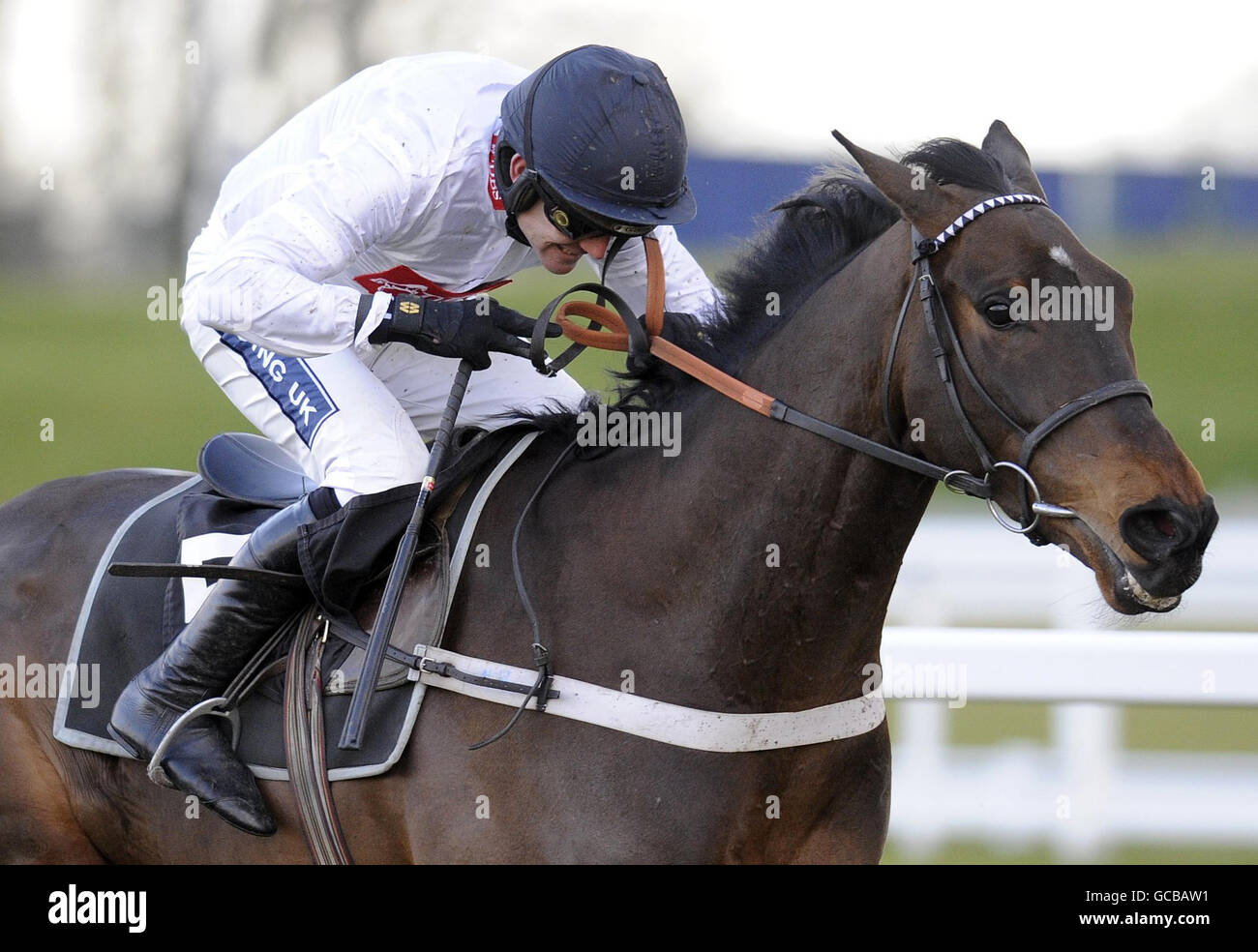 Lush Life and Ruby Walsh win The Lomax 'National Hunt' Novices' Hurdle Race during the Betfair Ascot Chase Day at Ascot Racecourse, Berkshire. Stock Photo