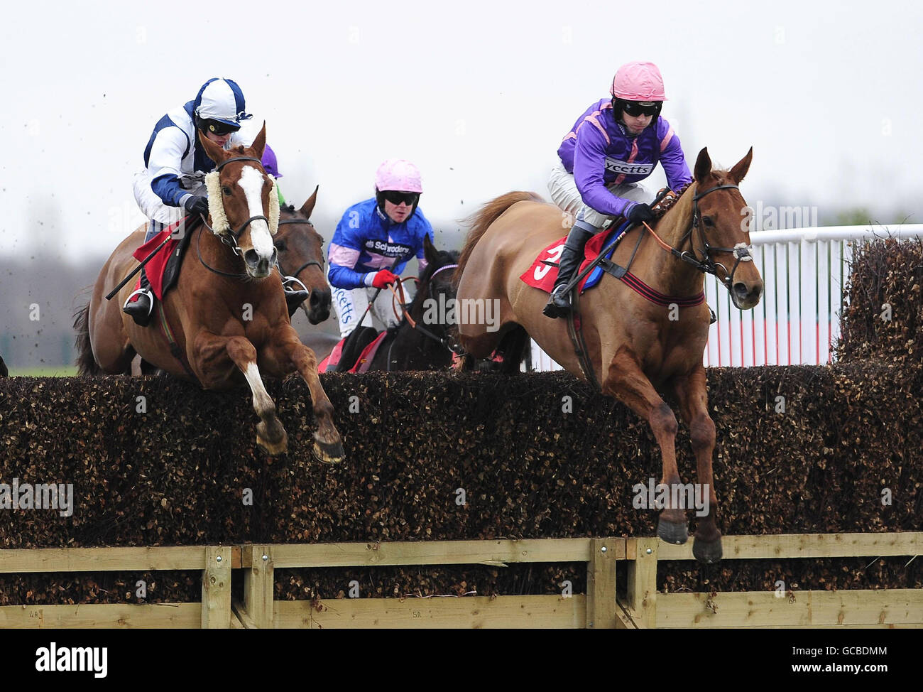 Racing doncaster full length jumping mangsk hi-res stock photography ...