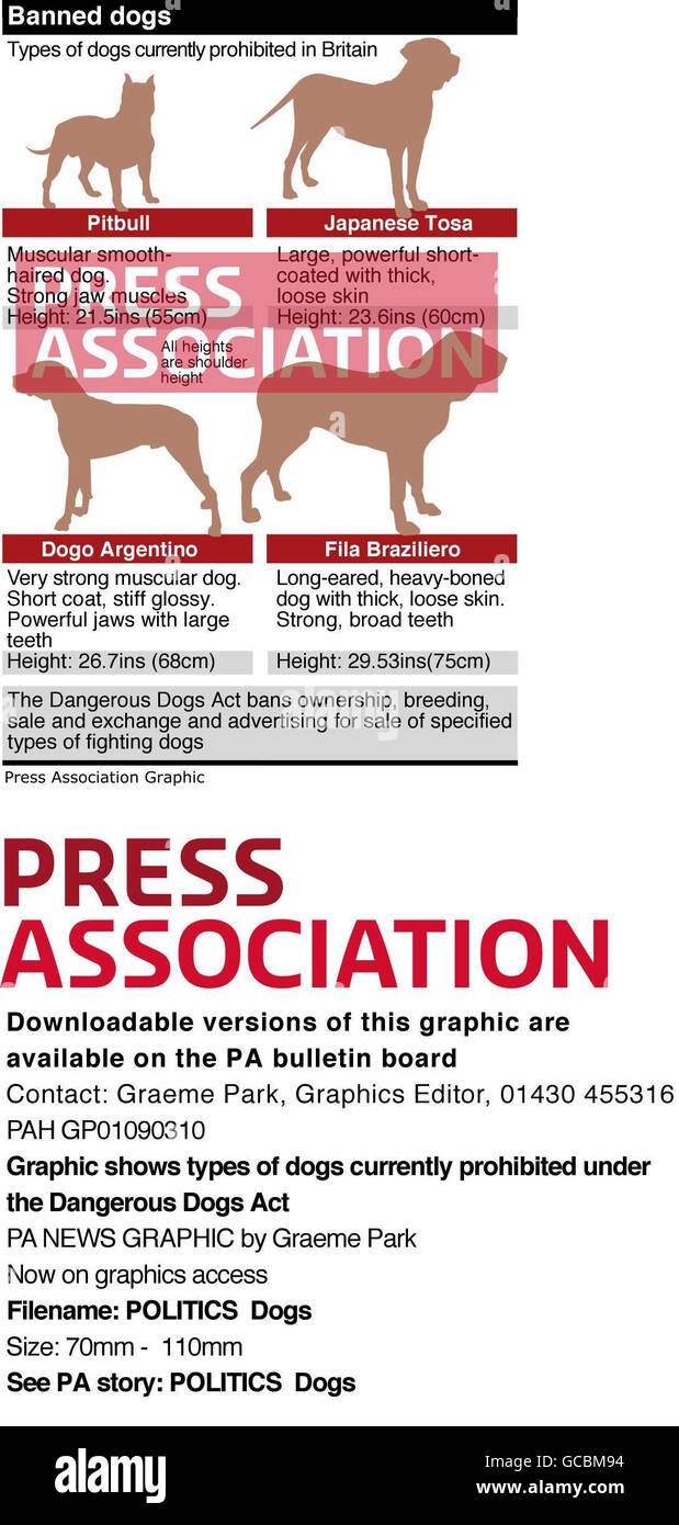 Types of dogs 94 sales