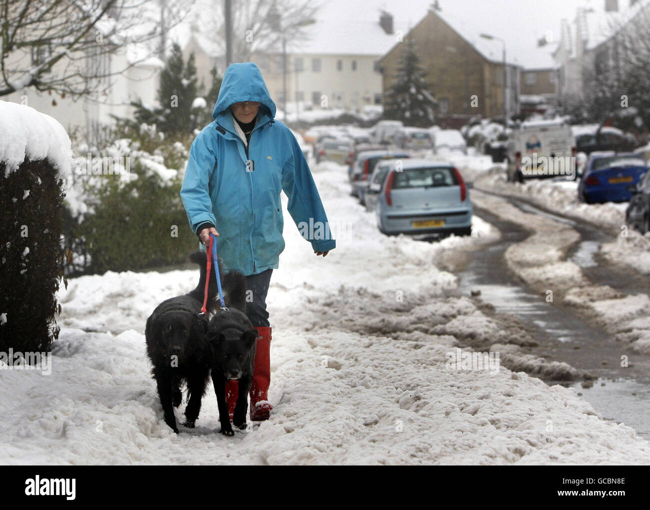A woman walks down a street in Newton Mearns after heavy snow falls across Scotland overnight. Stock Photo