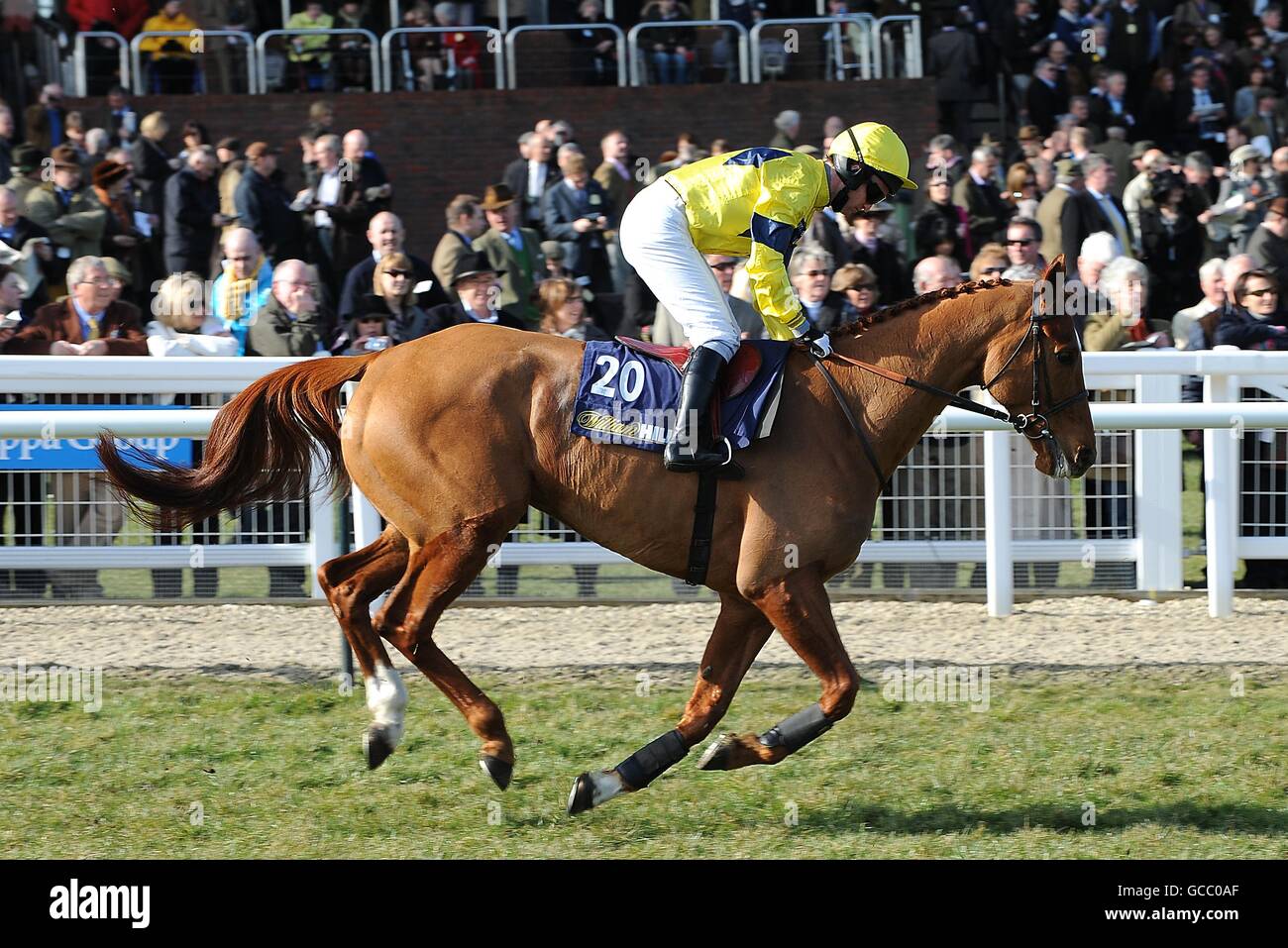 Bible Lord ridden by Mark Grant going to post for the William Hill Trophy Handicap Chase Stock Photo