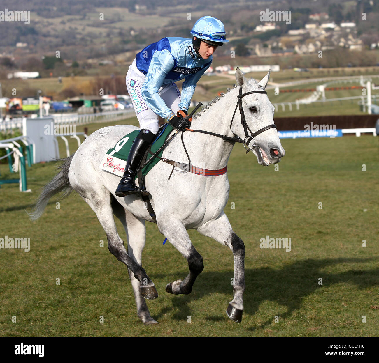 Horse Racing - 2010 Cheltenham Festival - Day One. Lacdoudal ridden by Rhys Flint goes to post Stock Photo