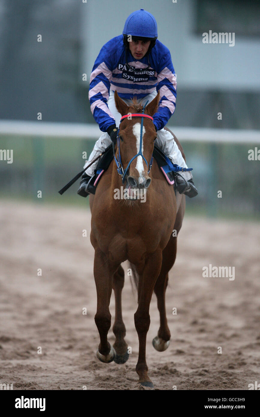 Horse Racing - Southwell Racecourse Stock Photo
