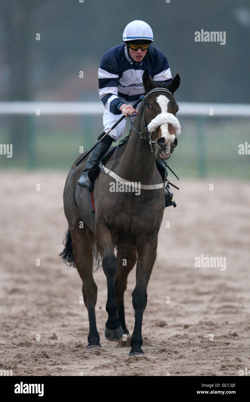 Horse Racing - Southwell Racecourse Stock Photo