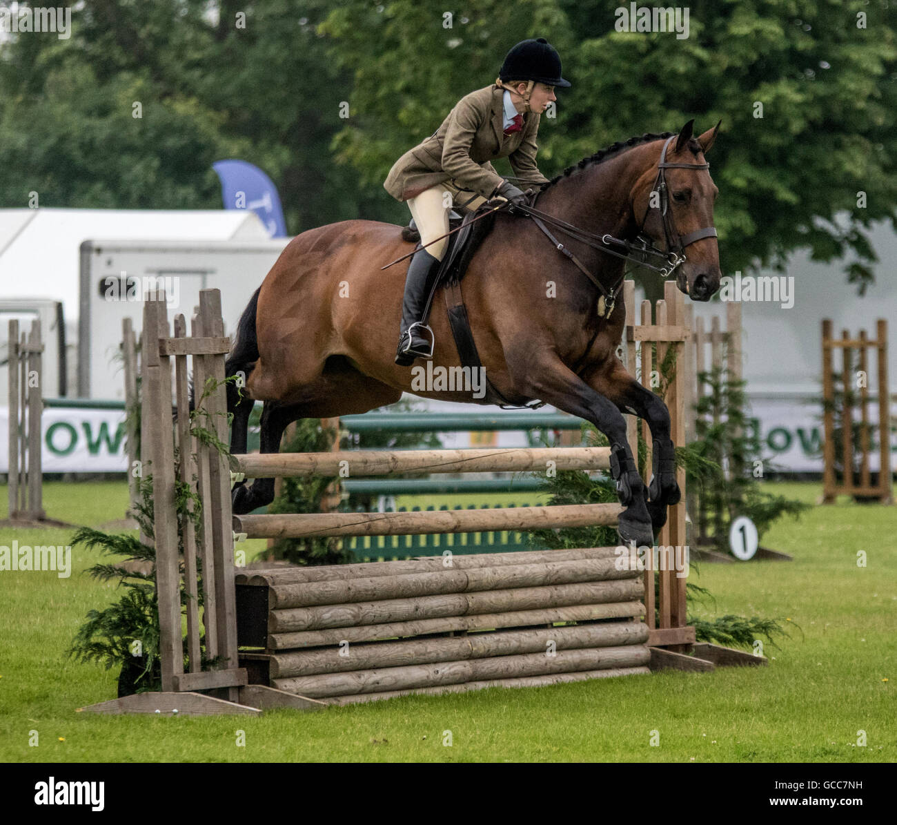 Competitor jumping in the working hunter class on the first day of