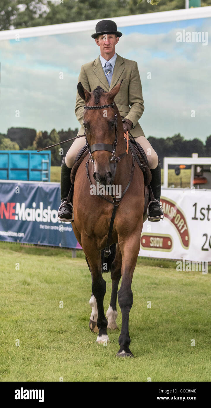 Jody Sole on his way to winning the working hunter class on the first day of the Kent County Show Stock Photo