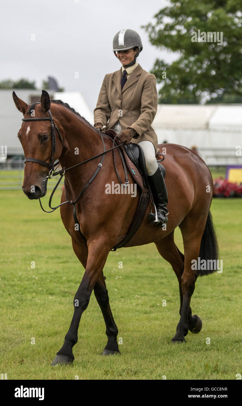 Competitor in the working hunter class on the first day of the Kent County Show Stock Photo